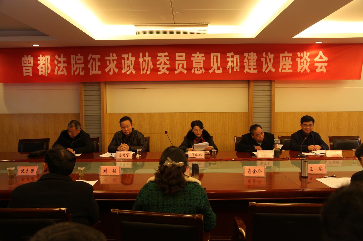 政协委员座谈会1.jpg