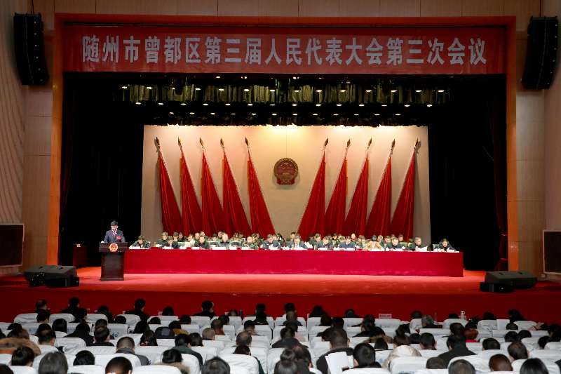 严院长向人代会报告工作2.jpg